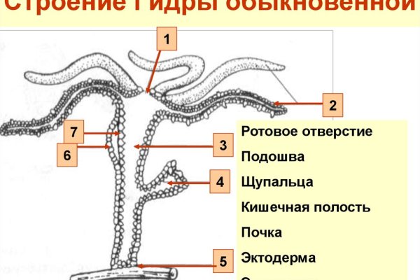 Кракен актуальная ссылка