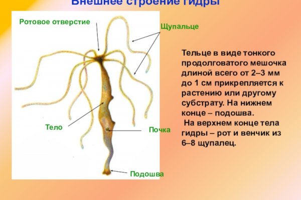 Kraken ссылка onion 2kmp