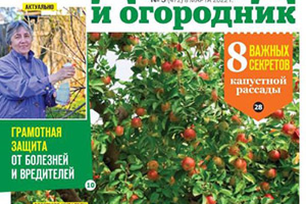 Кракен безопасный вход